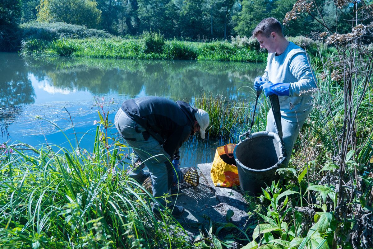 Kennet Crayfish