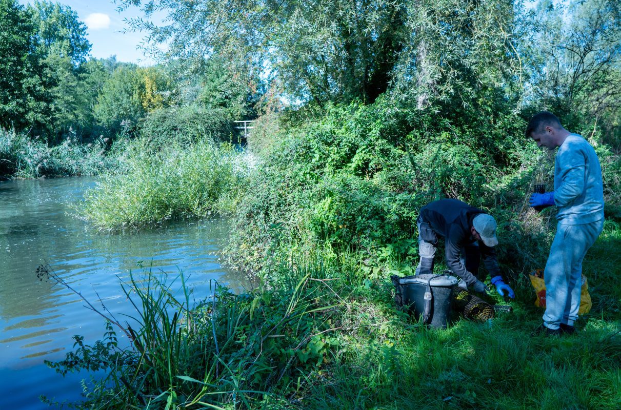 Kennet Crayfish