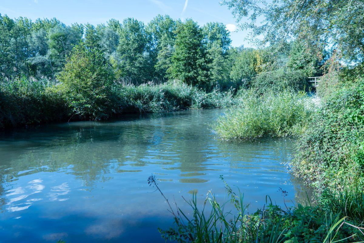 Kennet Crayfish