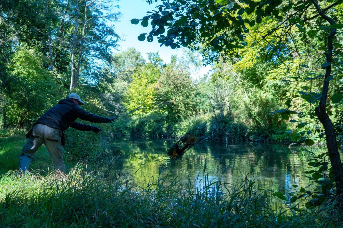 Kennet Crayfish