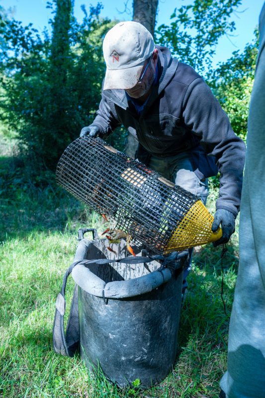 Kennet Crayfish