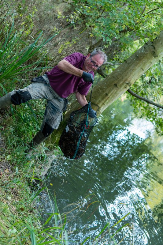 Kennet Crayfish