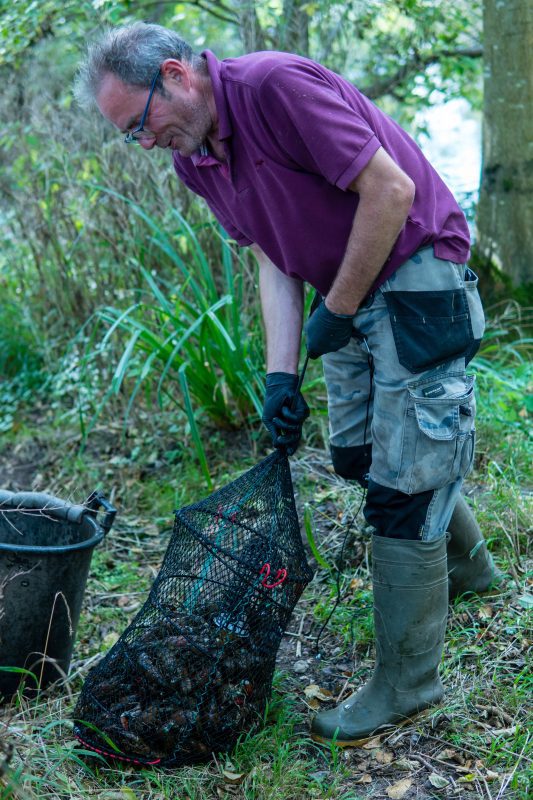 Kennet Crayfish