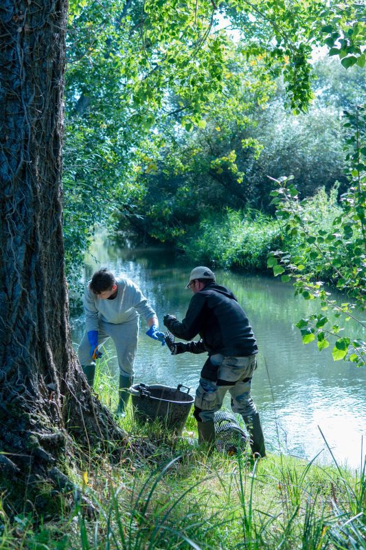 Kennet Crayfish