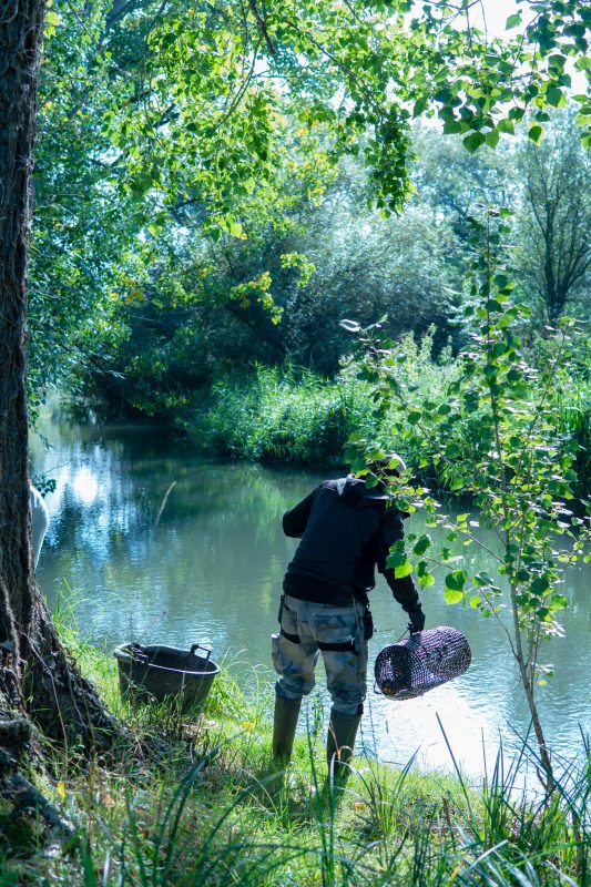 Kennet Crayfish