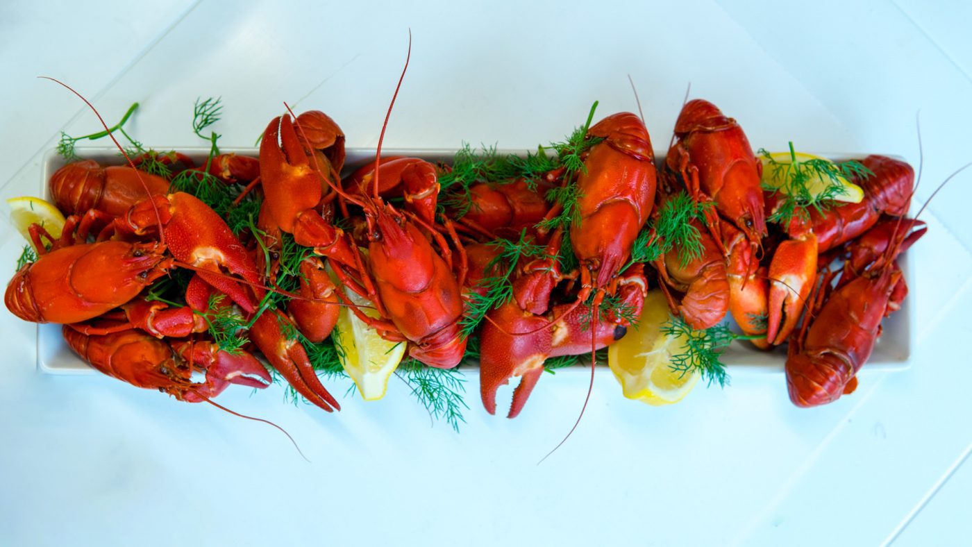 Kennet Crayfish