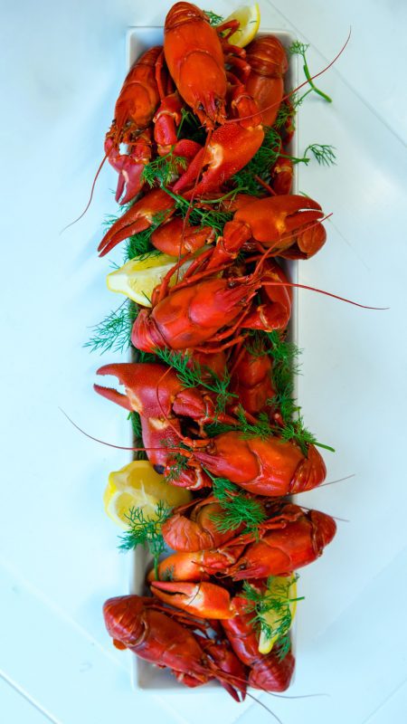 Kennet Crayfish